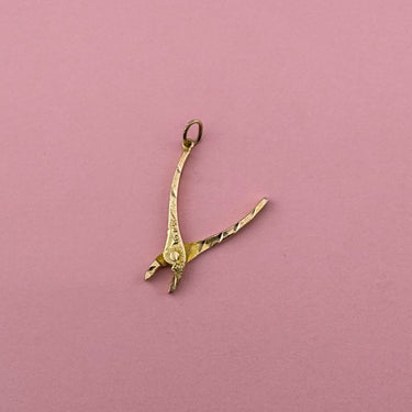 Moving Pliers Charm