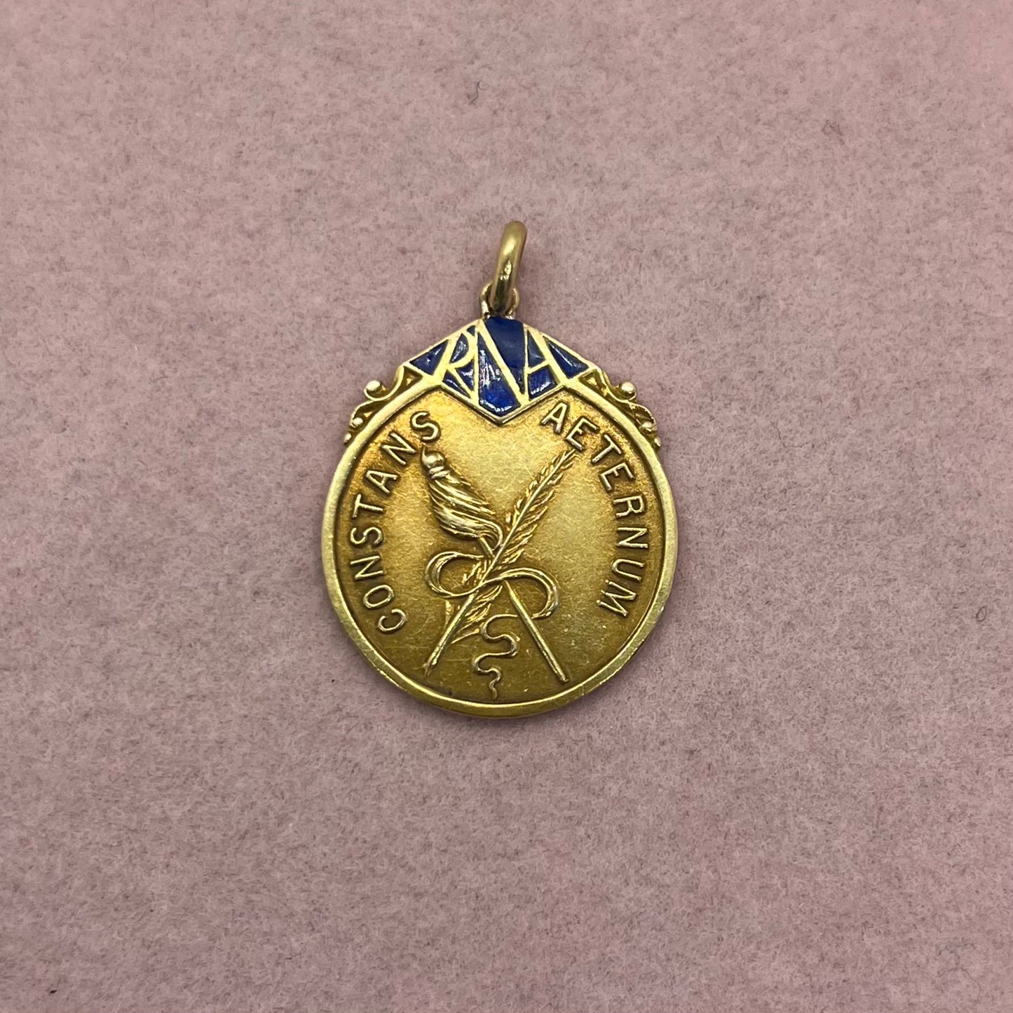 Constans Aeternum Medallion