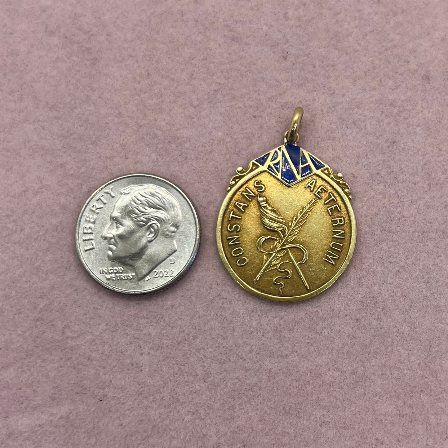Constans Aeternum Medallion