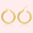 Classic Hoops
