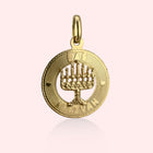 1969 Bas Mitzvah Medallion
