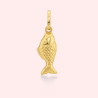 Little Fish Charm