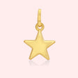 Classic Star Charm