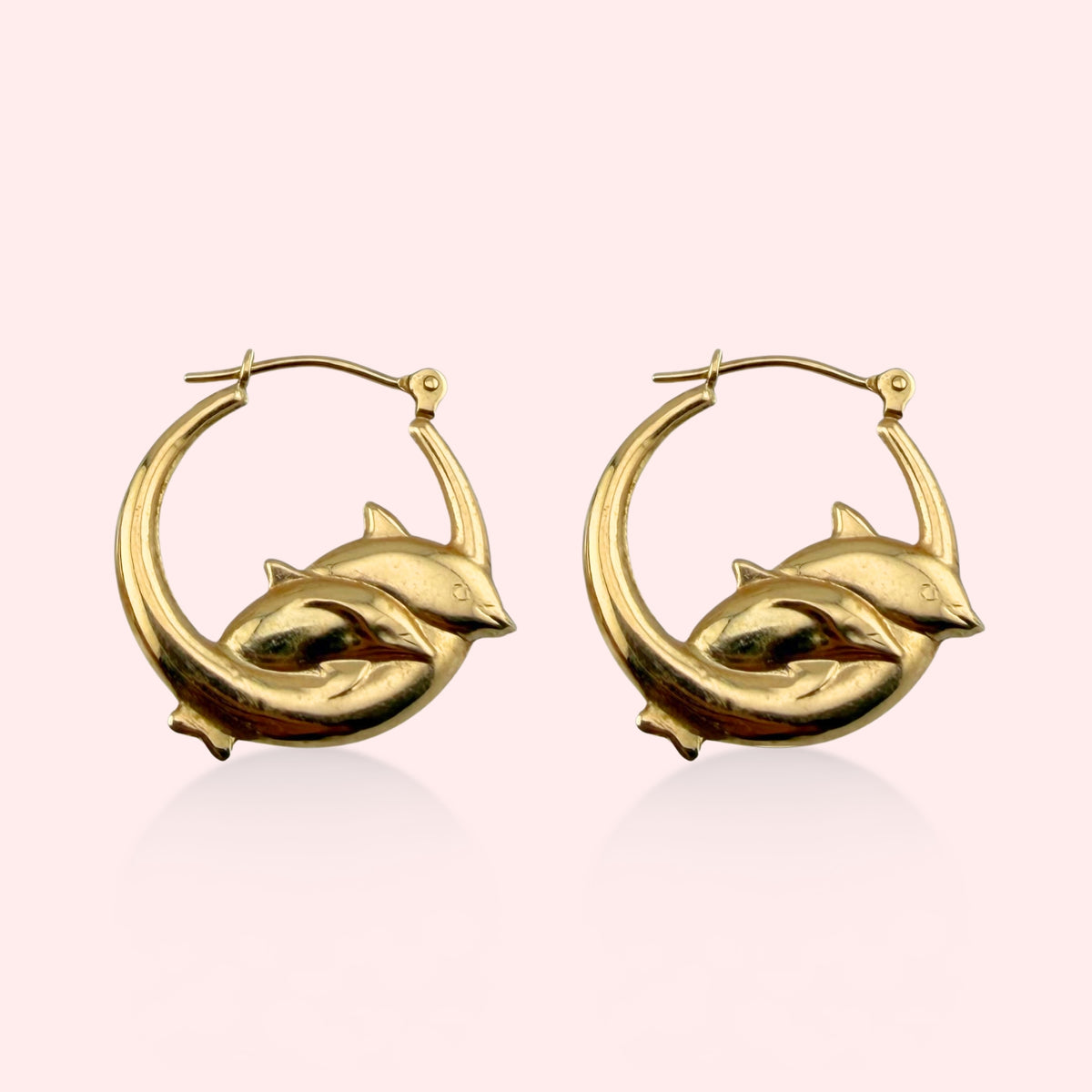 Leaping Dolphins Hoops