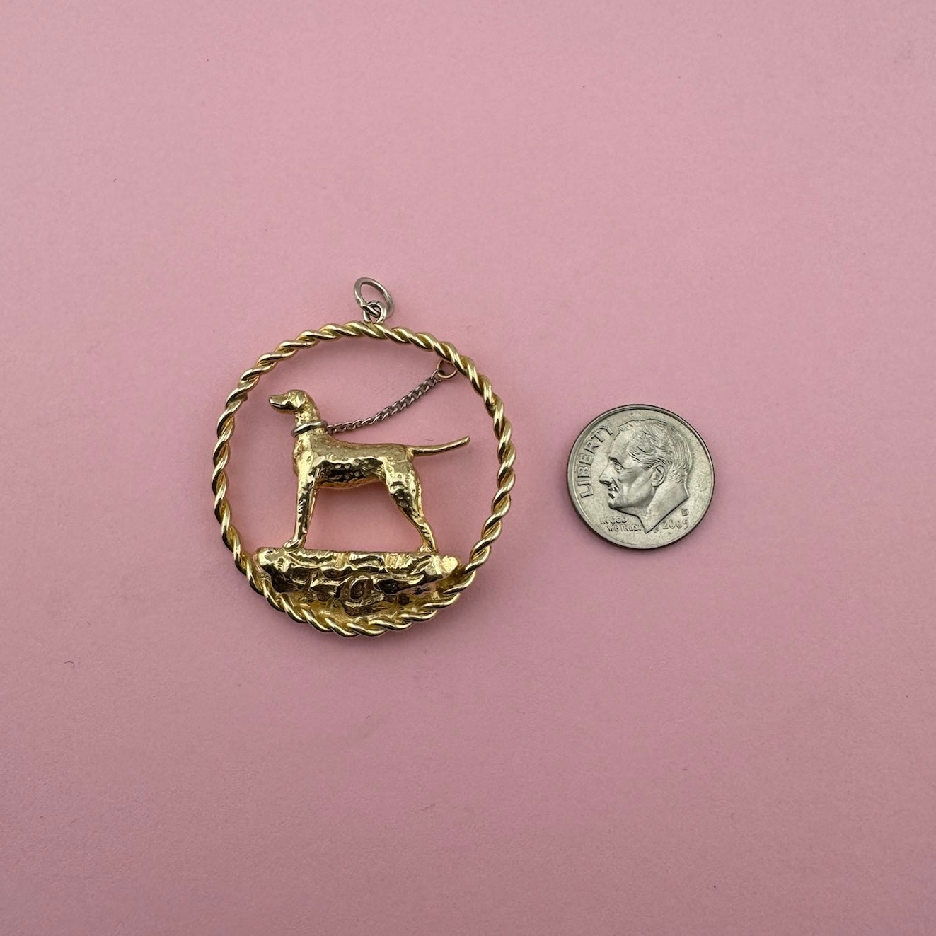 Dog on Leash Medallion