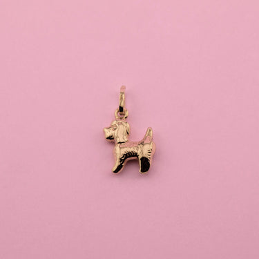 Lucky Dog Charm