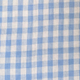 Blue Gingham