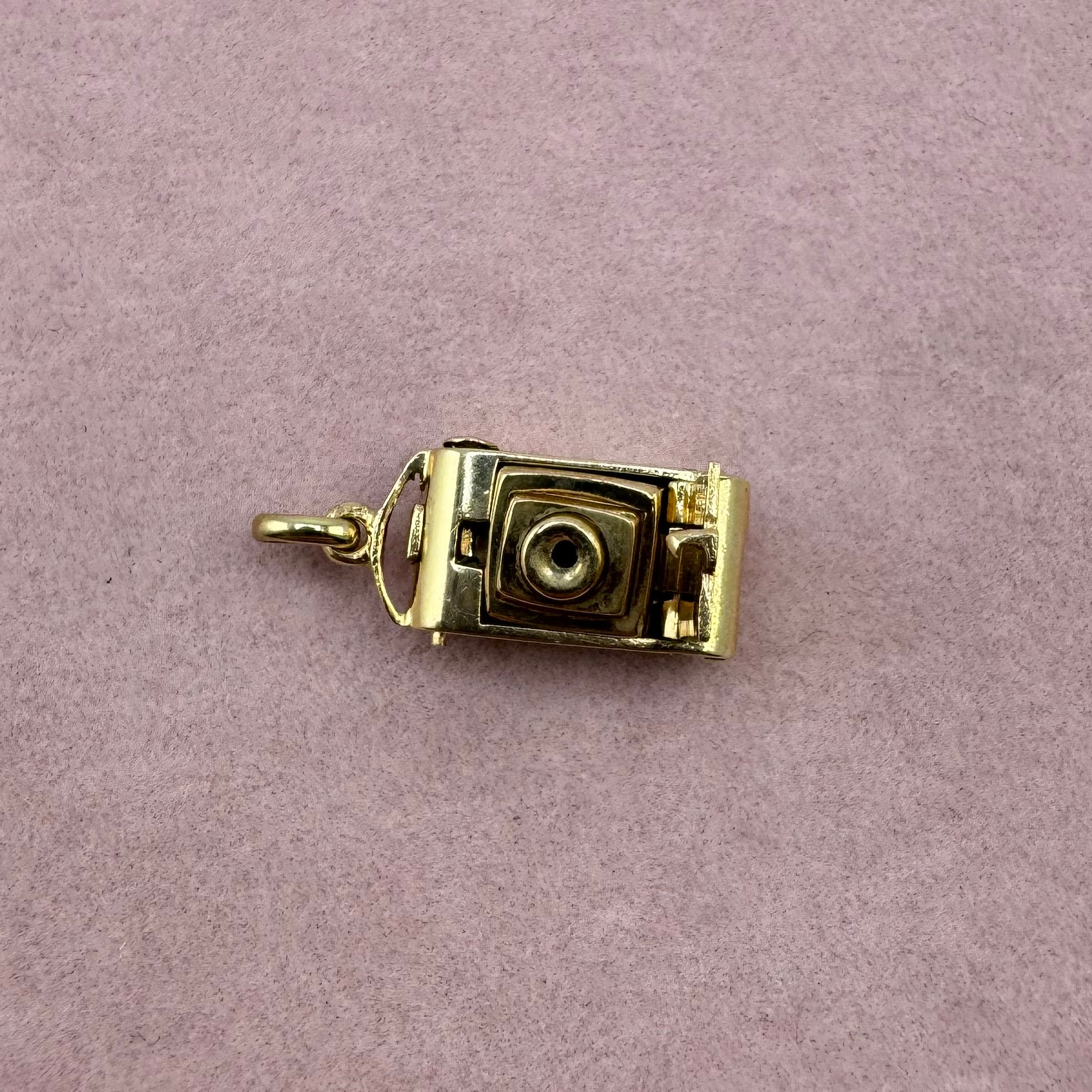 Moving Camera Pendant