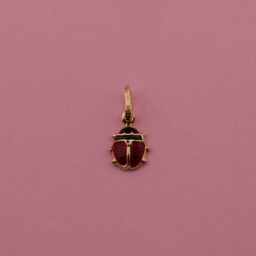 Ladybug Charm