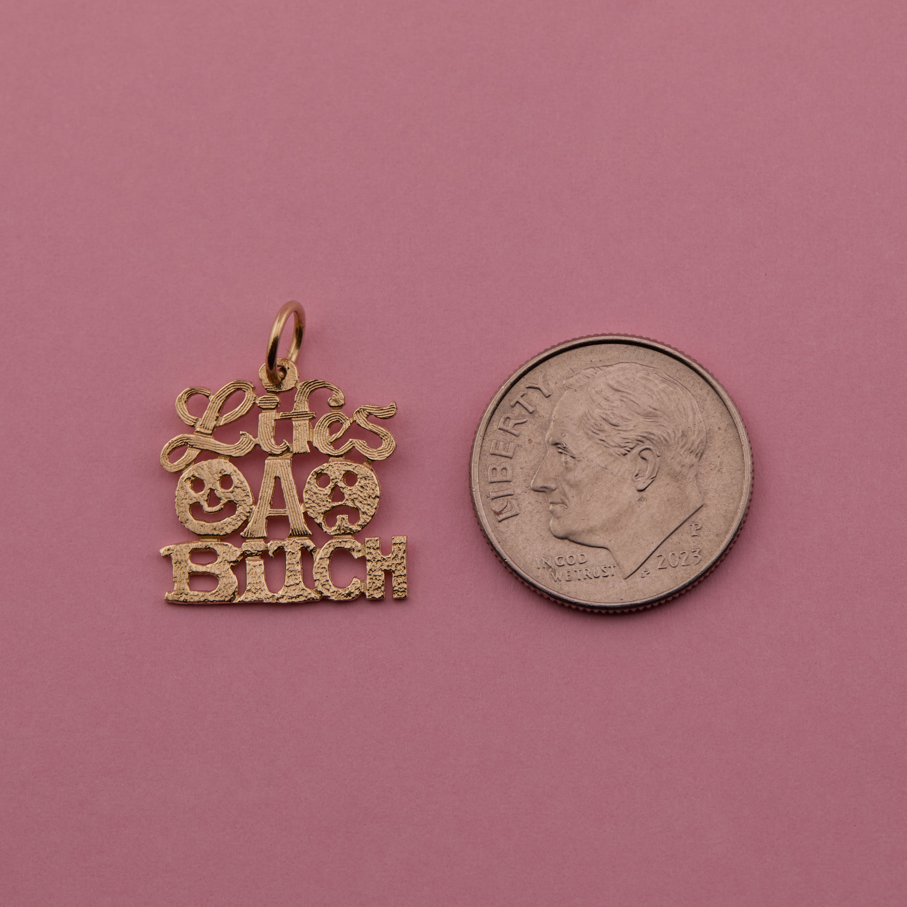 'Life's a Bitch' Charm