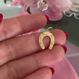 Lucky Horseshoe Charm