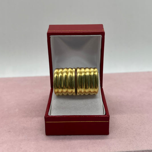 Five Line Chunky Earrings
